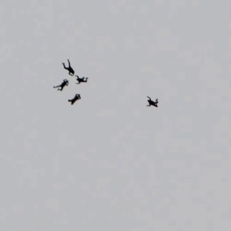 Instagram post from romandieparachutisme. This post is in position 3.